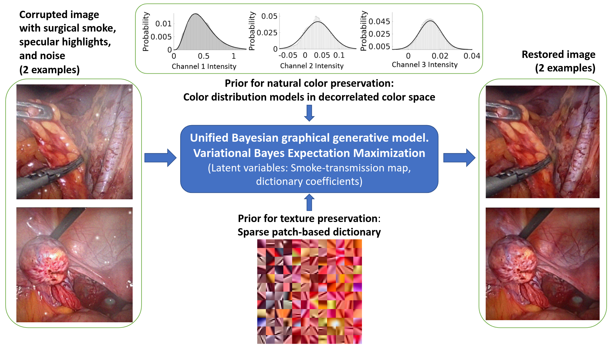 Graphical Abstract